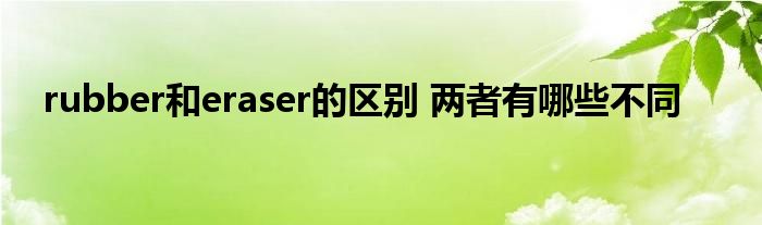 rubber和eraser的区别 两者有哪些不同