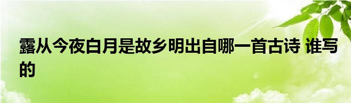 露从今夜白月是故乡明出自哪一首古诗 谁写的