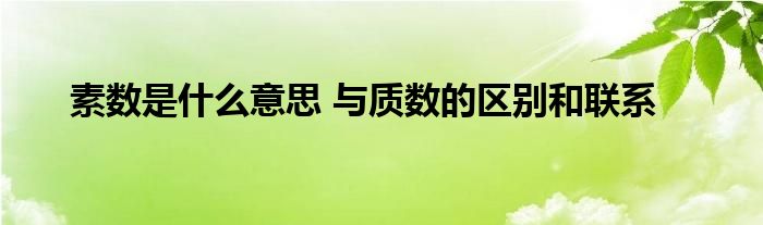 素数是什么意思 与质数的区别和联系