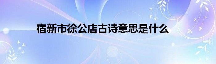 宿新市徐公店古诗意思是什么