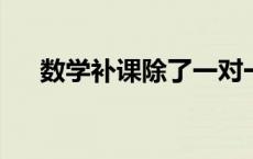 数学补课除了一对一还有哪些补习方式