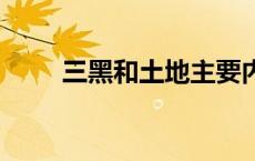 三黑和土地主要内容 是一首什么诗