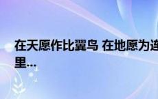 在天愿作比翼鸟 在地愿为连理枝是谁的故事 这句话出自哪里...