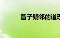 智子疑邻的道理 智子疑邻全文