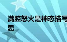 满腔怒火是神态描写还是心理描写 是什么意思