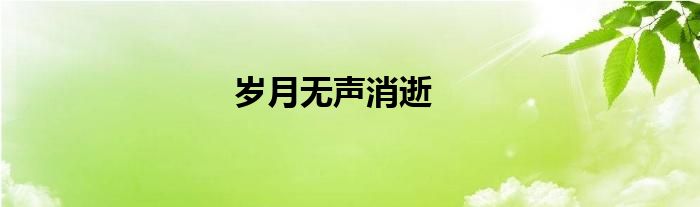 岁月无声消逝