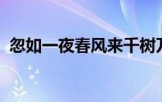 忽如一夜春风来千树万树梨花开是什么意思