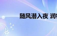 随风潜入夜 润物细无声的意思