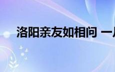 洛阳亲友如相问 一片冰心在玉壶的意思