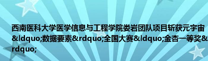 西南医科大学医学信息与工程学院娄岩团队项目斩获元宇宙“数据要素”全国大赛“金杏一等奖”