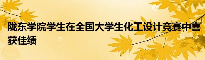 陇东学院学生在全国大学生化工设计竞赛中喜获佳绩